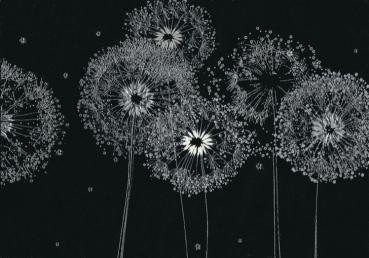 Pusteblume
